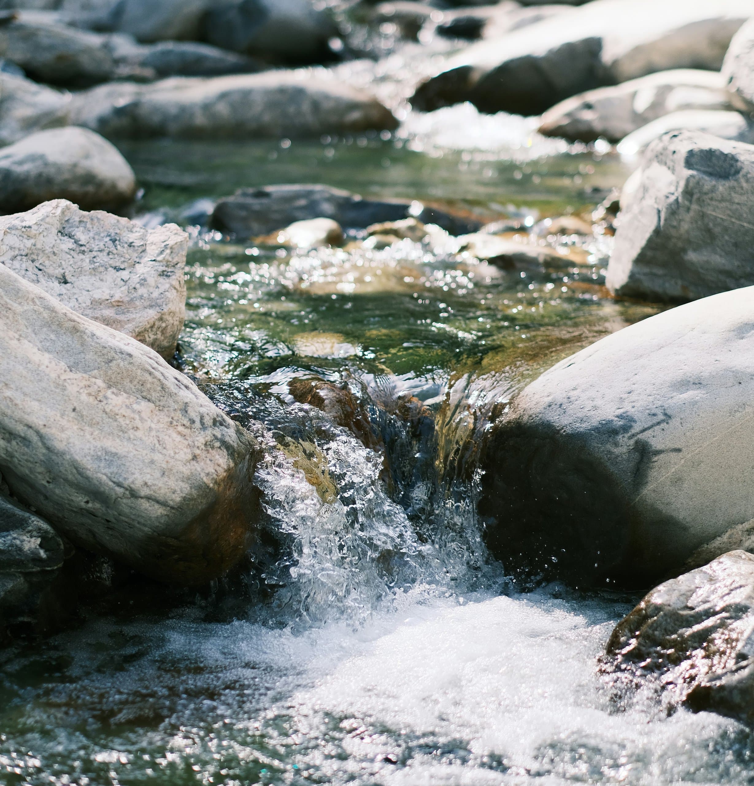 Klares Wasser fliesst zwischen Steinen in einem Bach